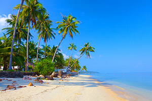 Hôtels à Koh Samui