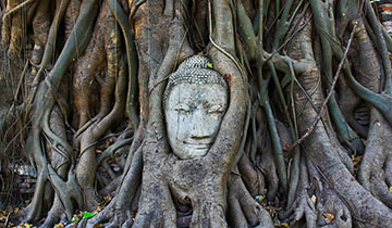 Ayutthaya